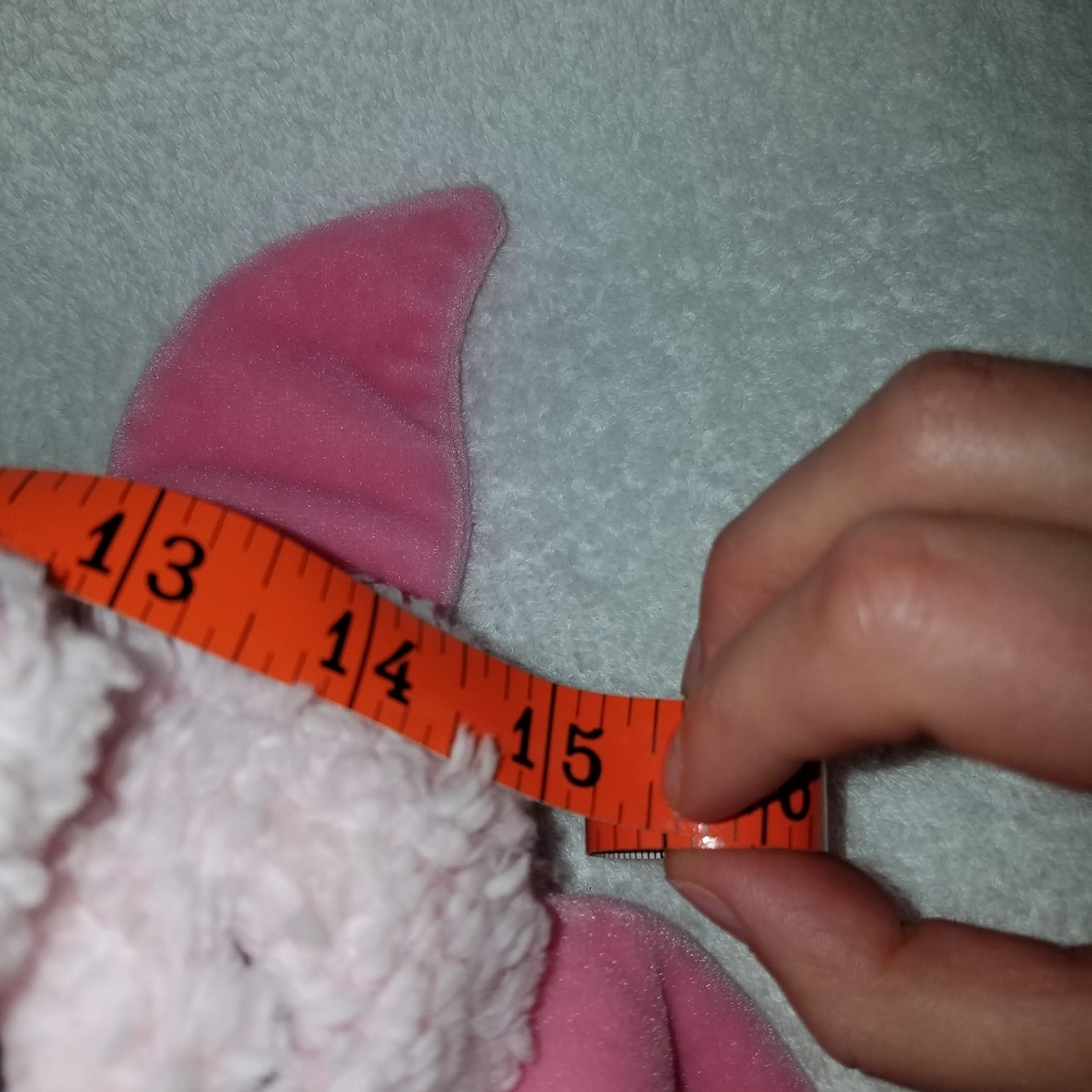 Piglet - Picture 6 of 7